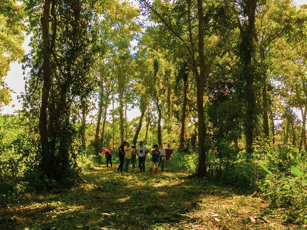 Rionilo Ecolodge主图