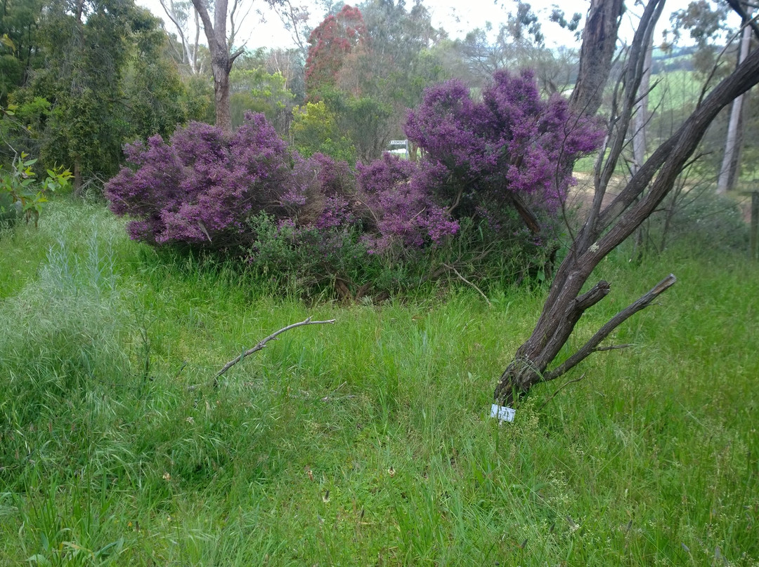 Peter Francis Points Arboretum-Coleraine必去景点