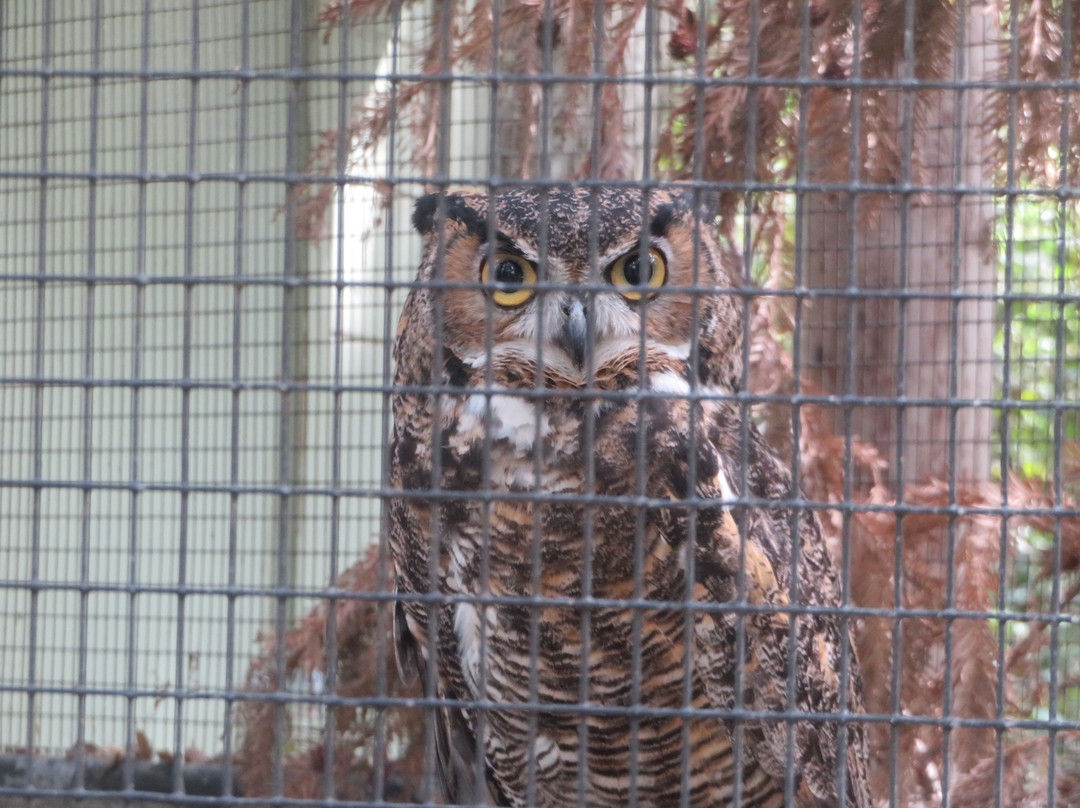 Sulphur Creek Nature Center-海沃德必去景点