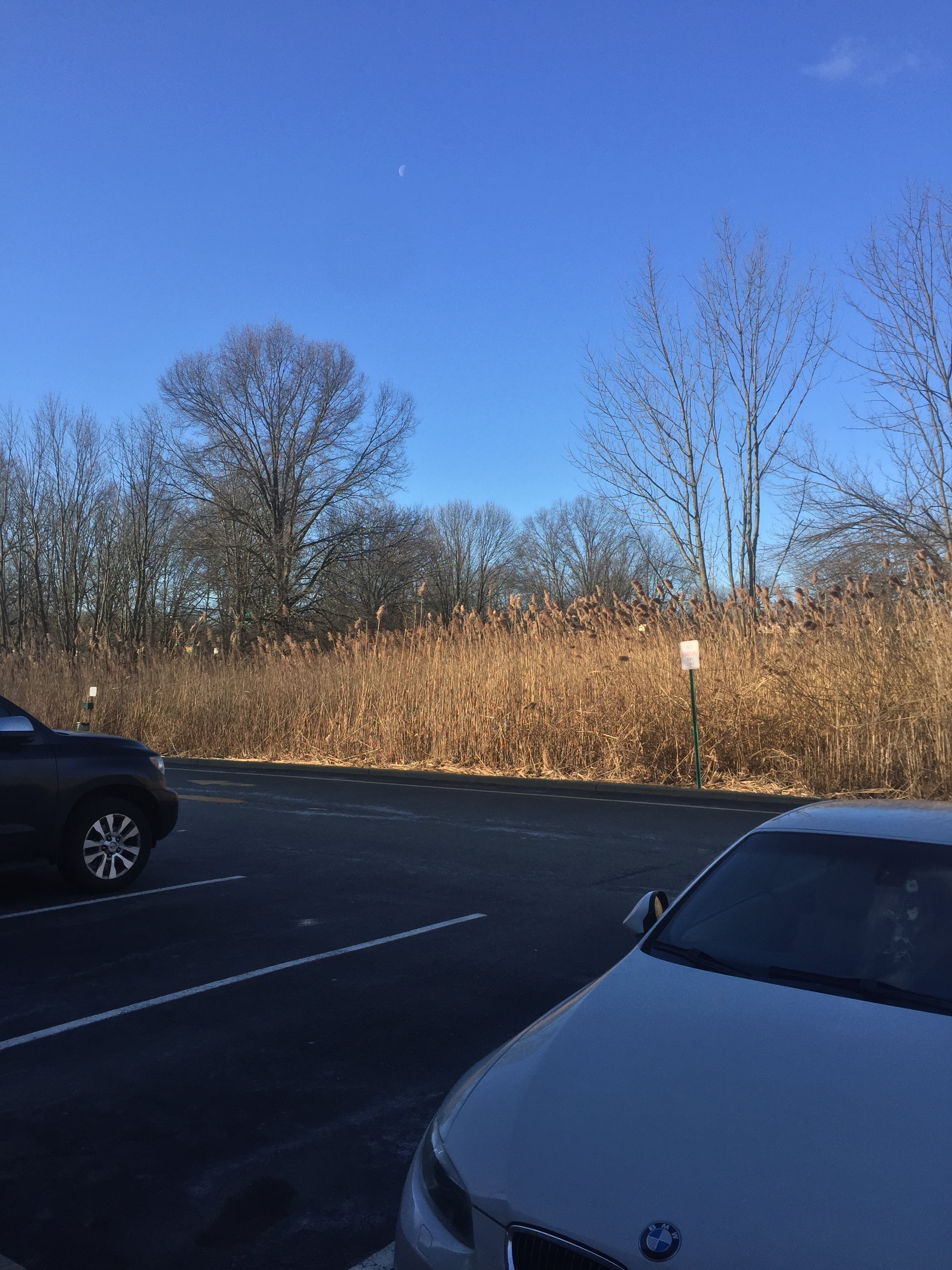 Red Roof Inn Parsippany-浴室