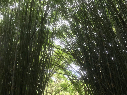 Parque das Aguas de Cambuquira-Cambuquira必去景点