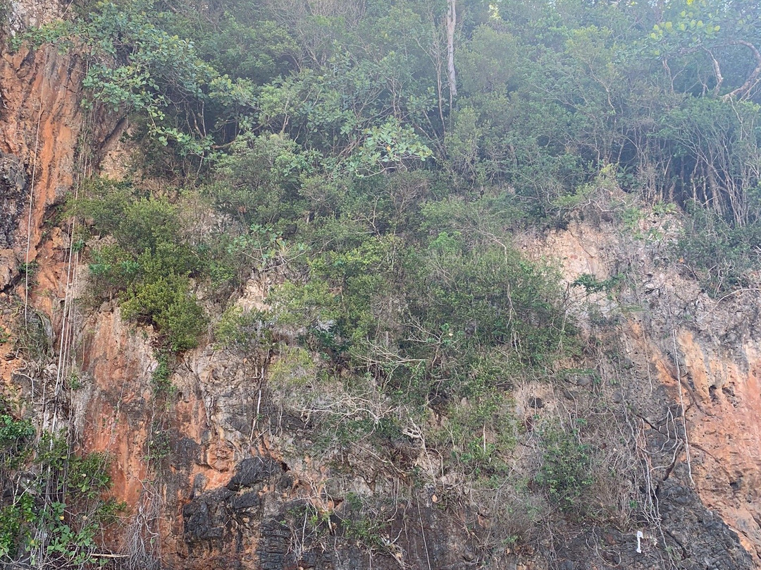 Playa El Valle景点图片