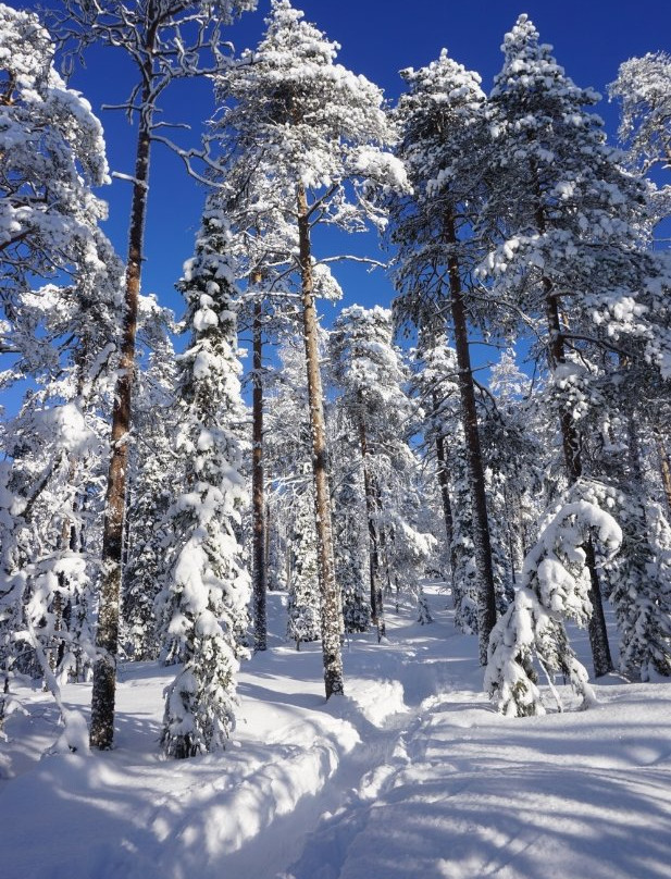 Sallatunturi Snowshoe Route-Salla必去景点