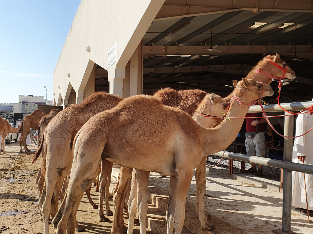 Souq Sinaw-Sinaw必去景点