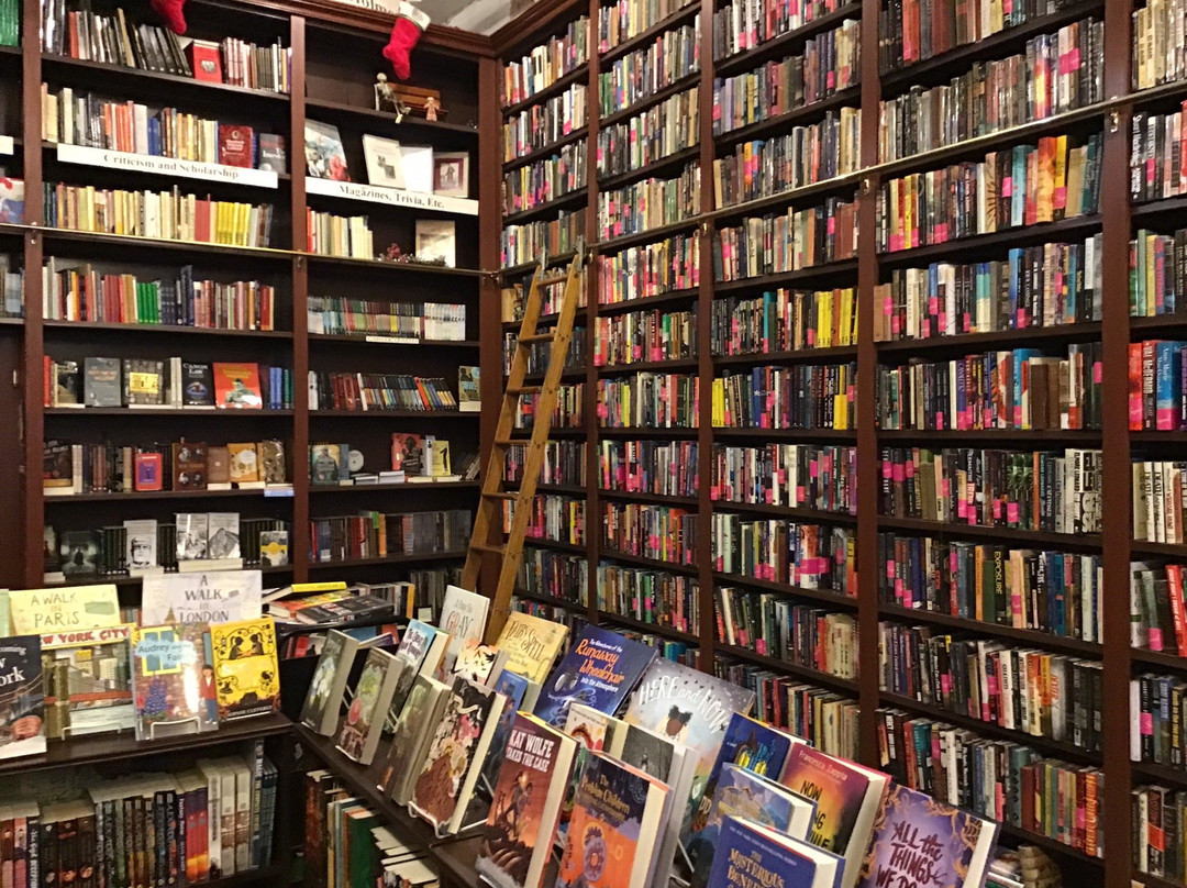 The Mysterious Bookshop景点图片