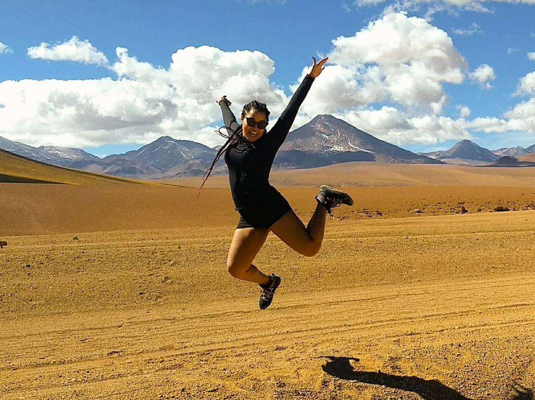 Lagunas Altiplanicas-圣佩德罗-德阿塔卡马必去景点