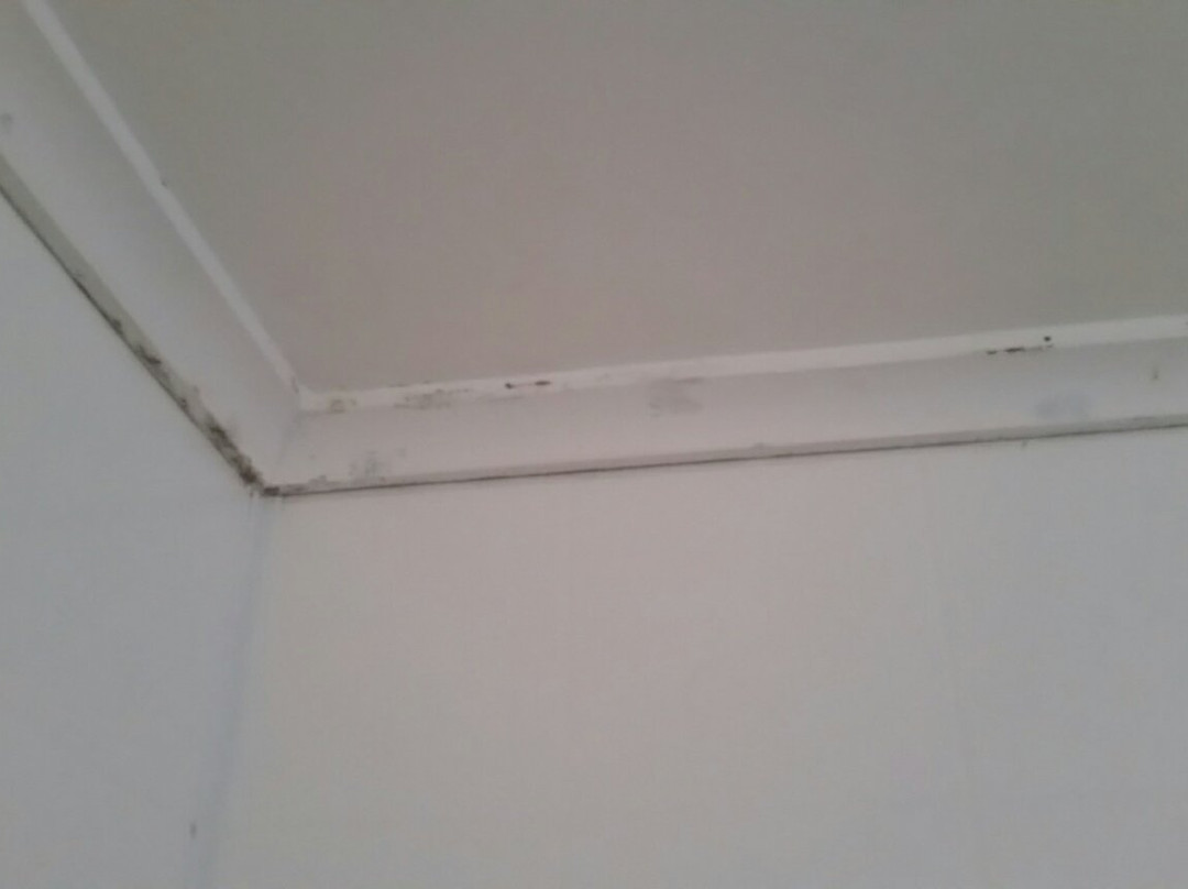 Seaspray Motel主图