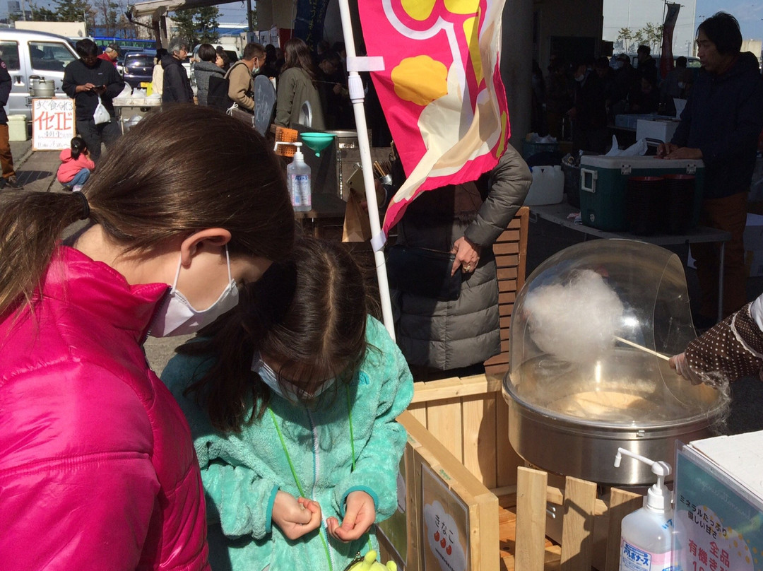 Ohara Port-夷隅市必去景点