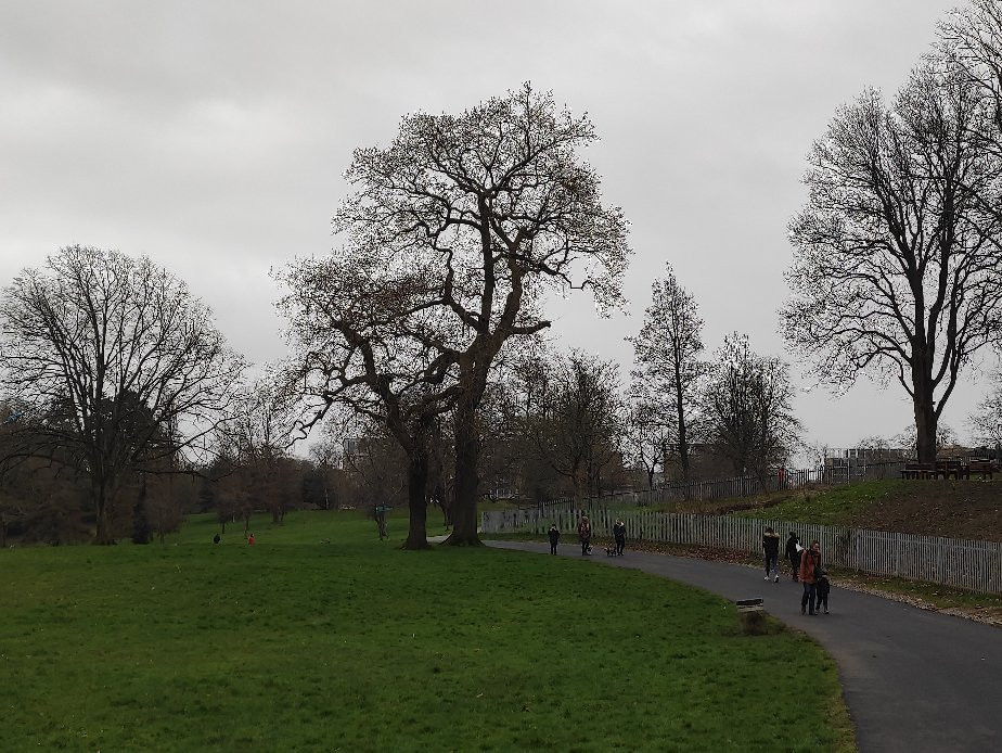 Singleton Park-斯温西必去景点