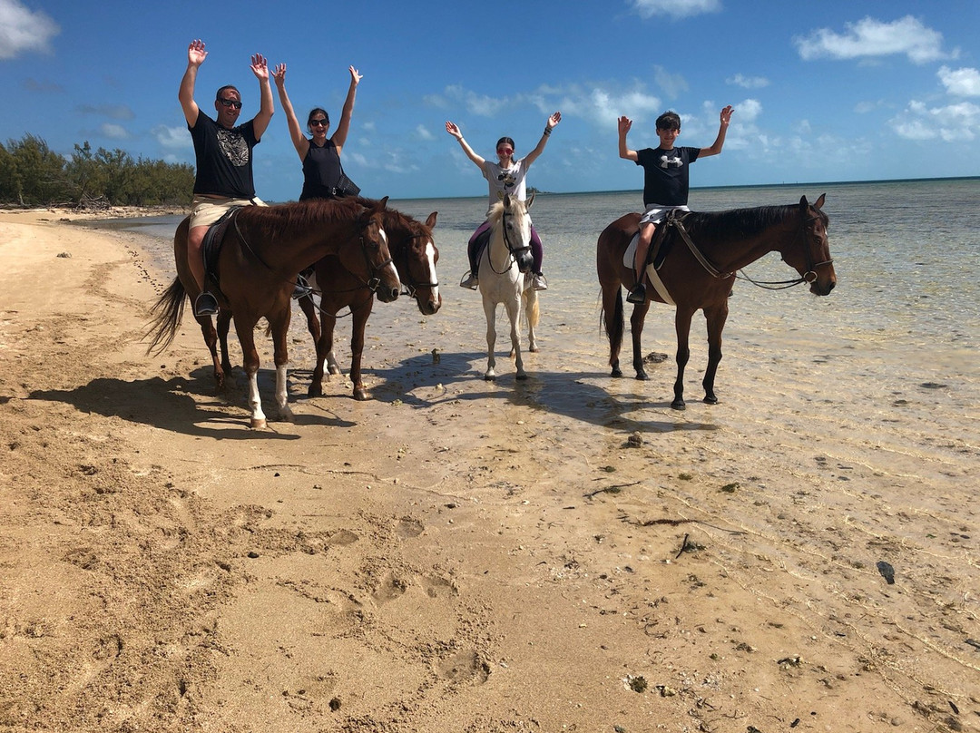 Happy Trails Stables, Windsor Equestrian Centre-新普罗维登斯岛必去景点