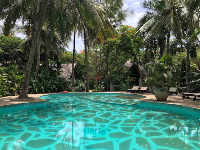 Shambani Cottages-泳池
