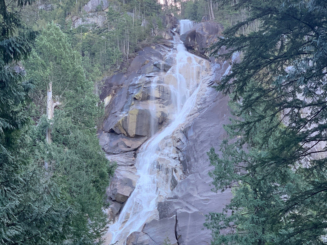 Canadian Craft Charters-温哥华必去景点