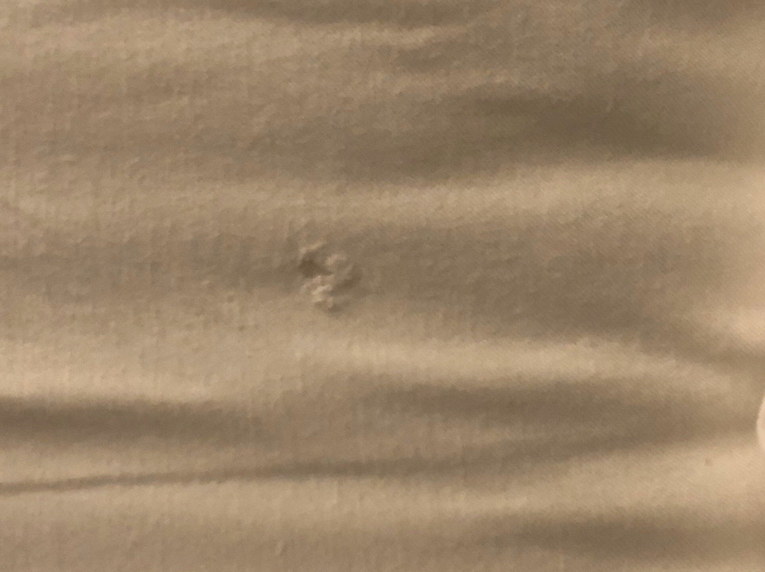 波特兰塞布尔奥克斯万豪酒店主图