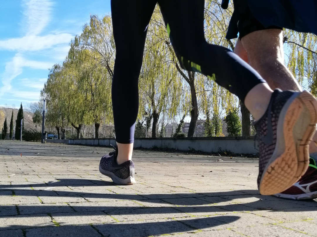 RunRioja-洛格罗尼奥必去景点