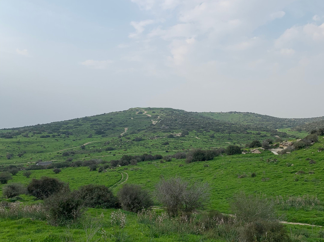 Adventure Israel - Day Tours景点图片