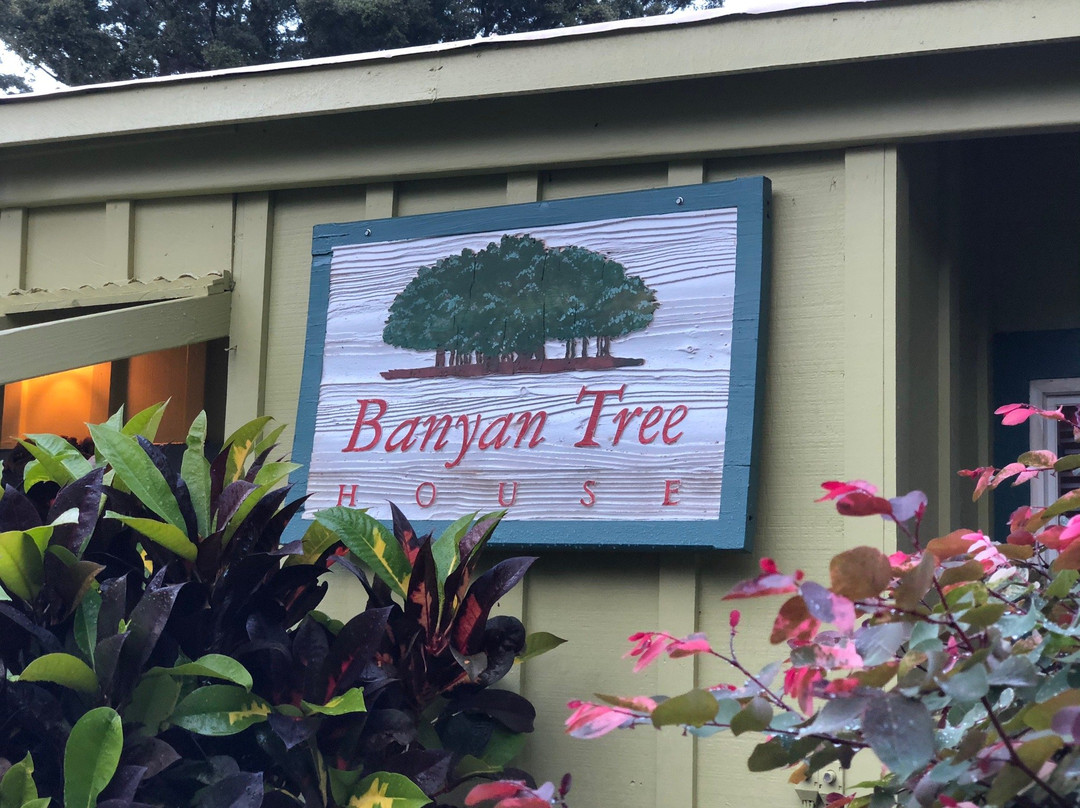 Banyan Bed And Breakfast Retreat主图