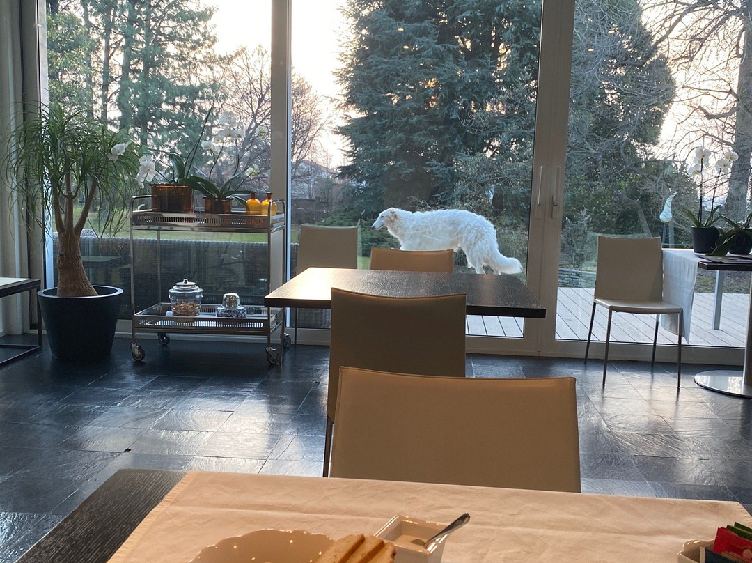 Villa La Maggiorana主图