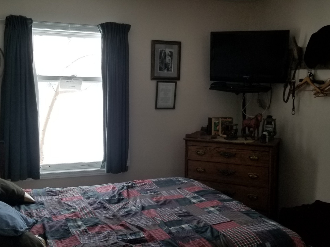 Bluebird Motel主图