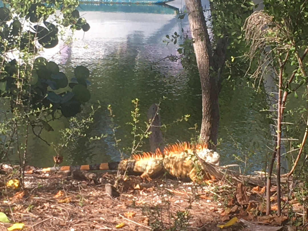 Sugarloaf Lodge主图