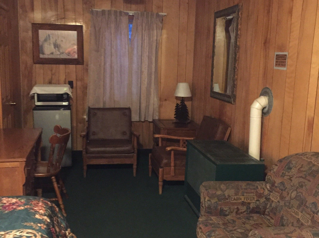 跳舞熊酒店主图