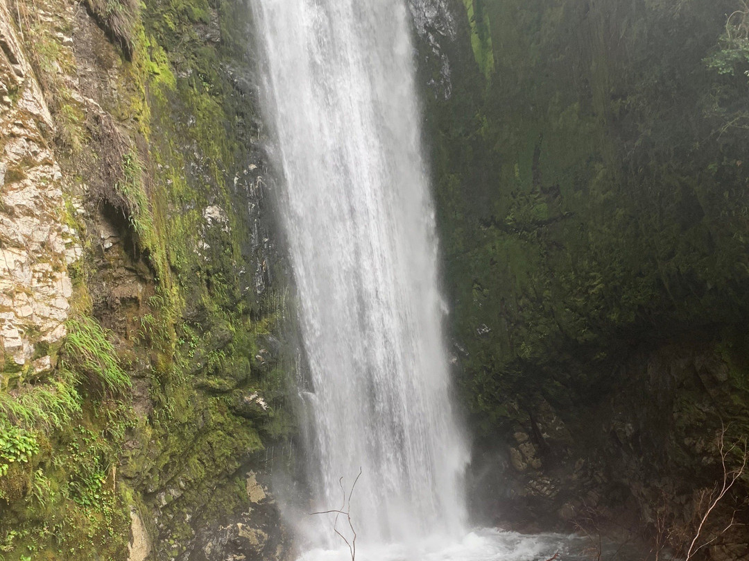 Yagan Expeditions-La Junta必去景点