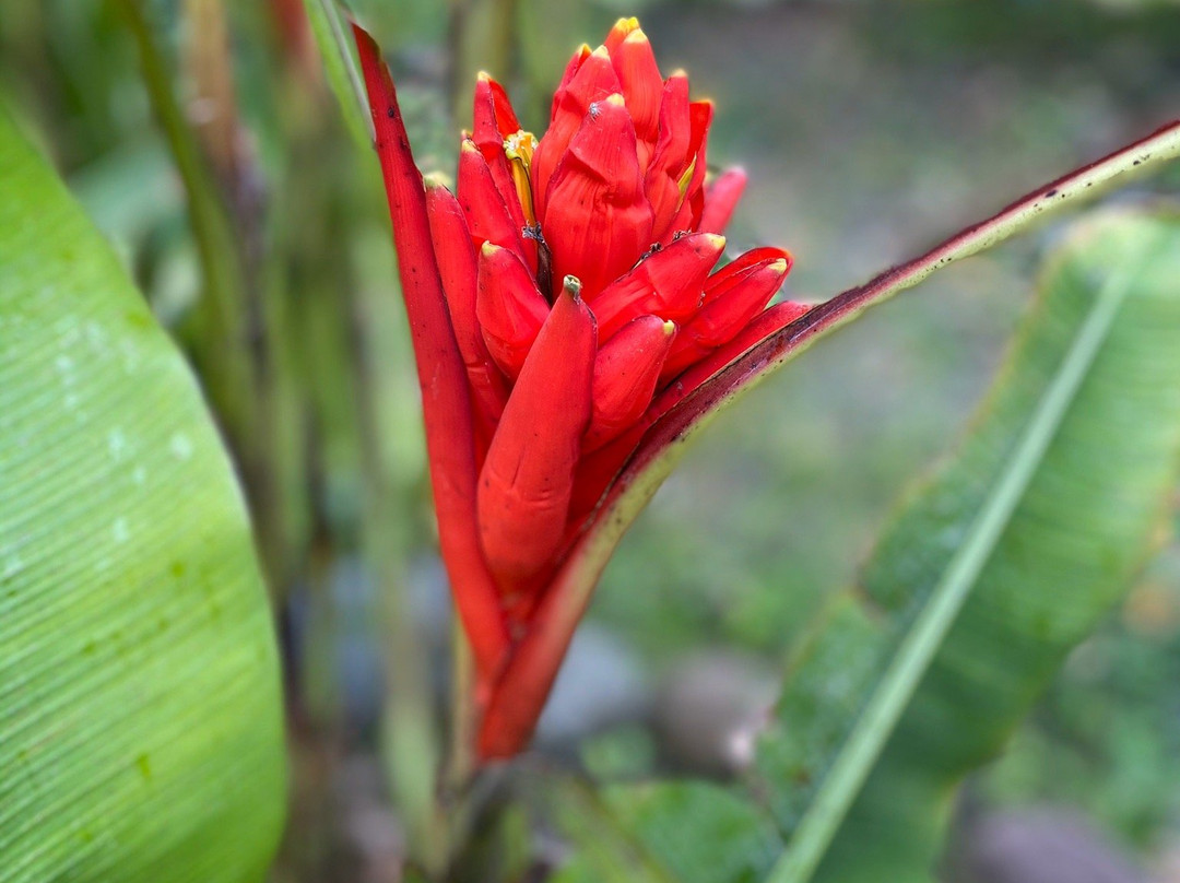 Cabanas Samay Magico主图