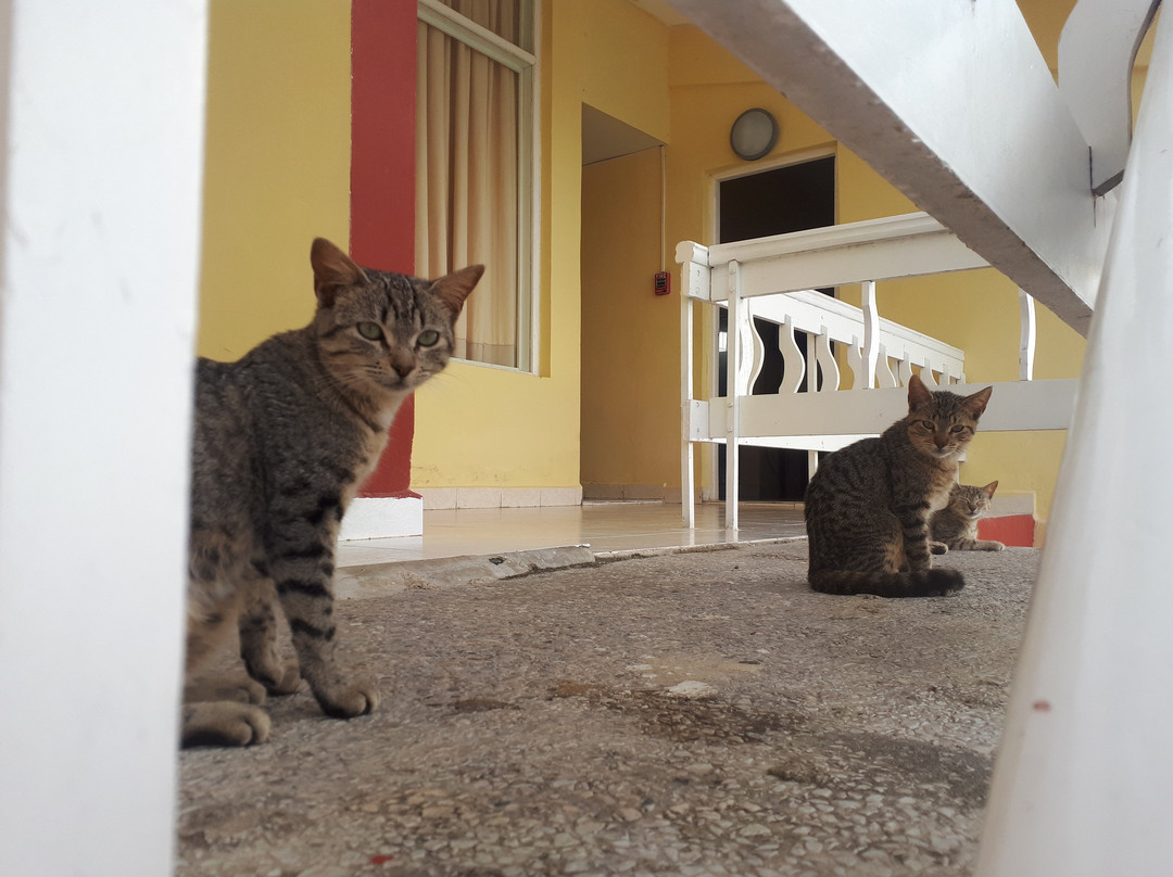 Hotel Maria La Gorda主图