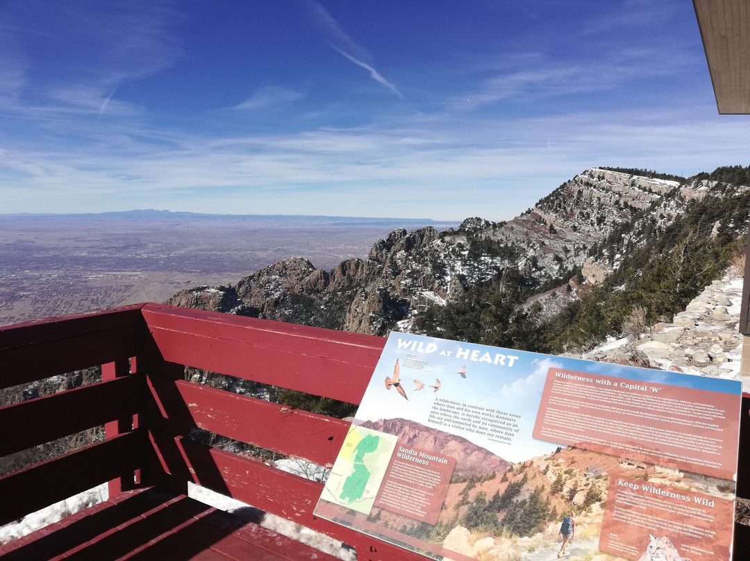 Sandia Peak Ski Area-Sandia Park必去景点
