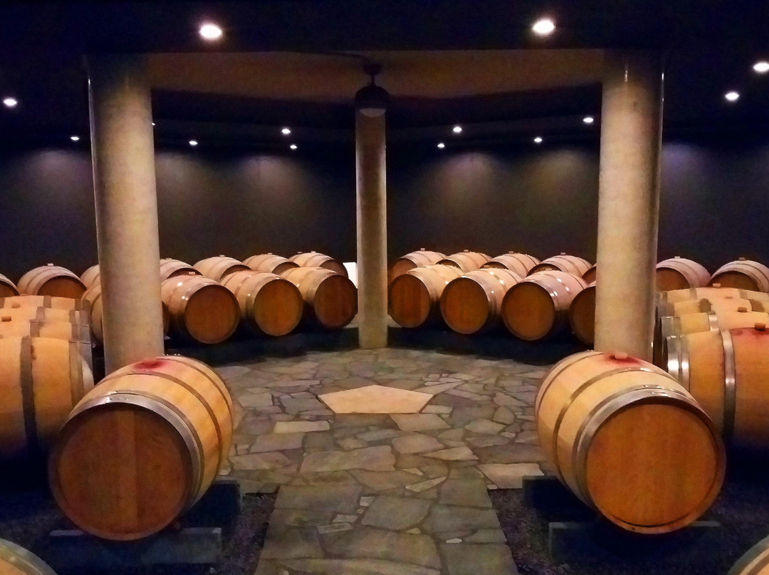 Vinorama Wine Tour, Lavaux-Rivaz必去景点