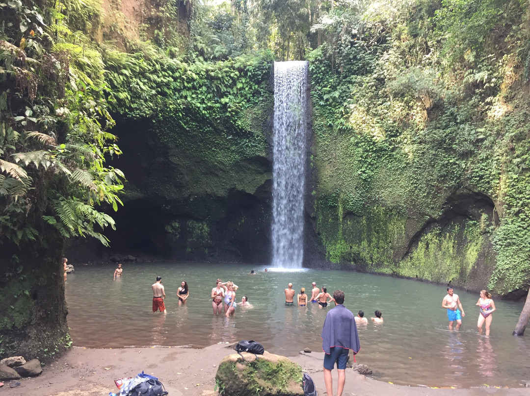 Expedition Bali Tours-金塔马尼必去景点