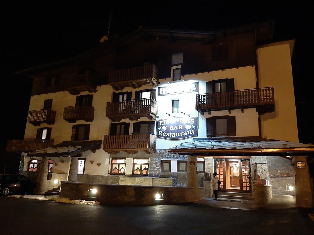 Hotel Edelweiss主图
