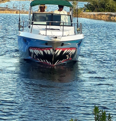 Best Day Tours-普罗维登西亚莱斯必去景点