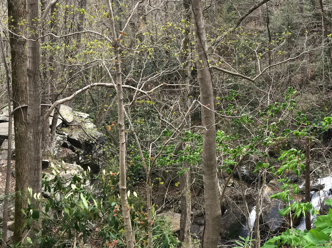 Melrose Falls-Saluda必去景点