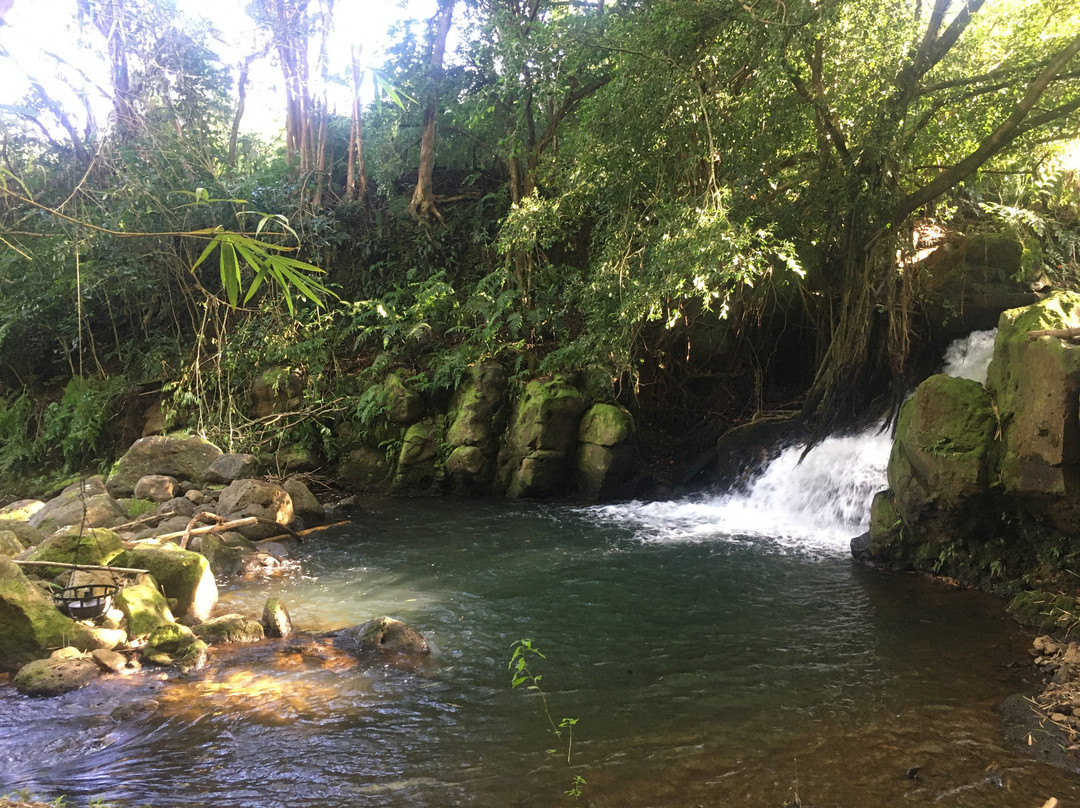 Hamakua Guesthouse主图