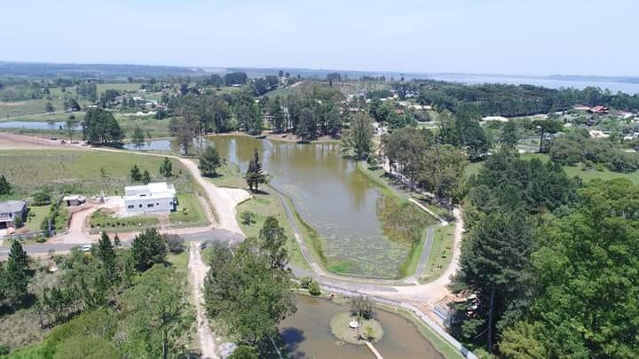 Parque do Lago景点图片