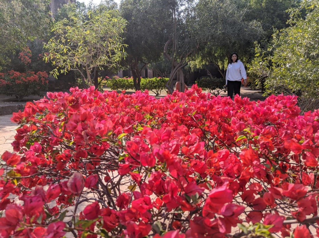 Chandelao Garh主图