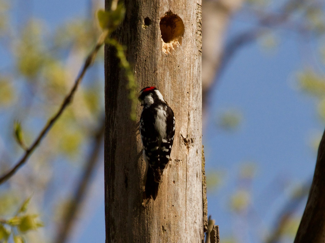 Kishwauketoe Conservancy-Williams Bay必去景点