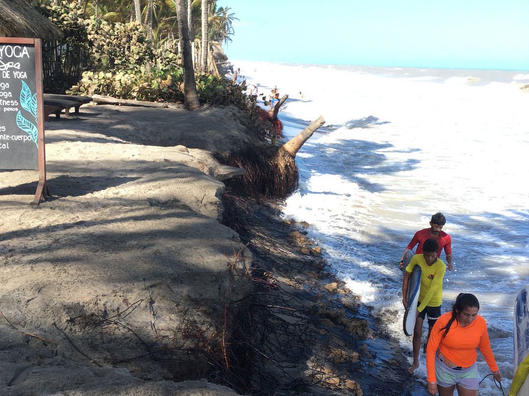 La Sirena Nature Retreat主图