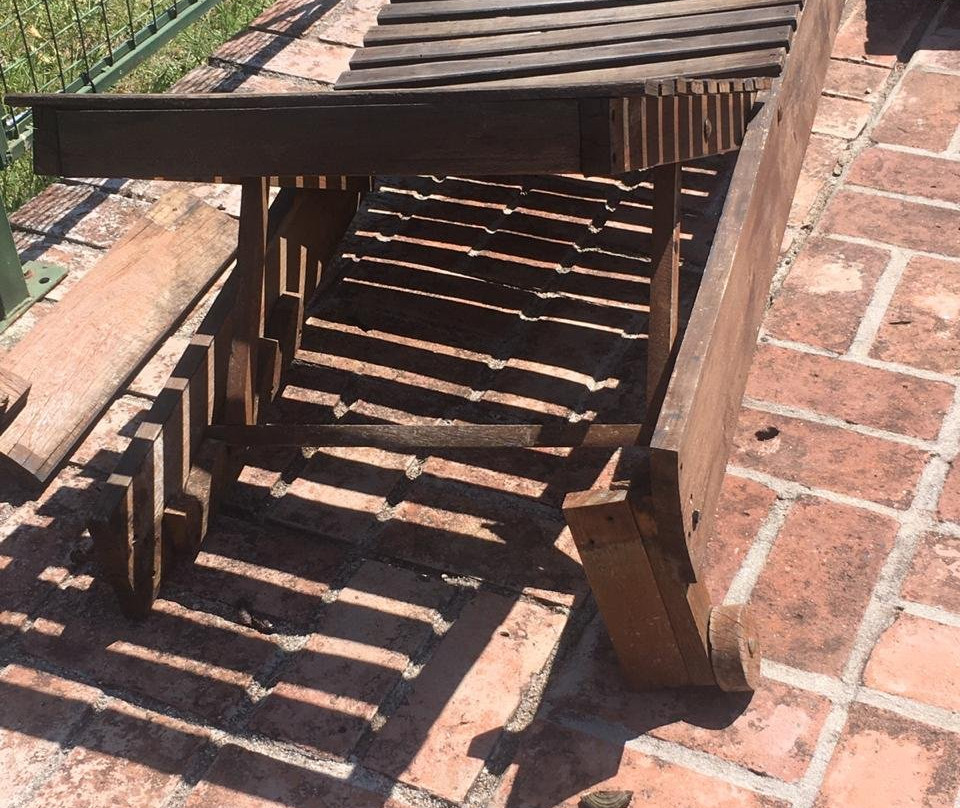 Cabañas El Algodonal主图