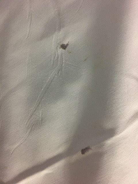 B&B Hotel Böblingen主图