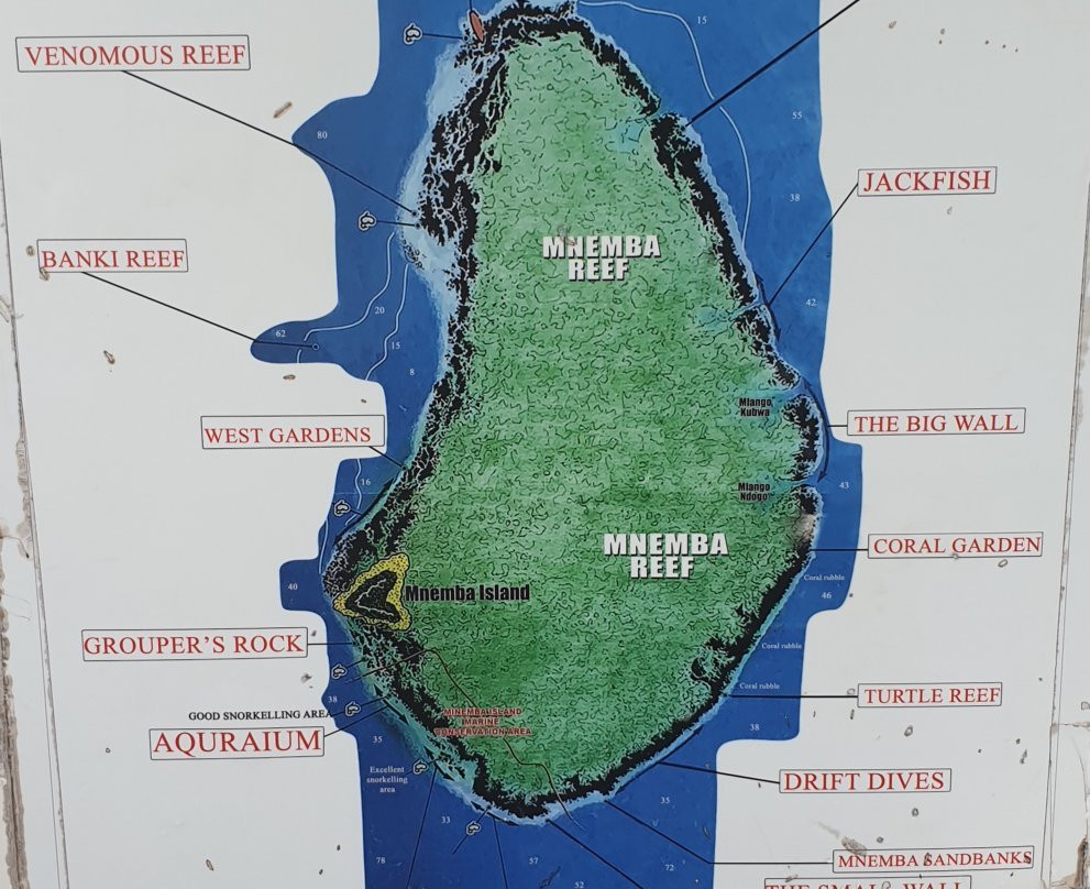Zanzibar Extreme Watersports景点图片
