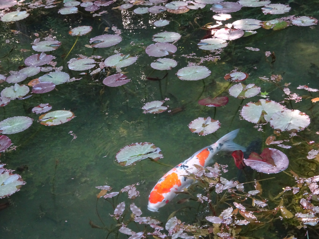 Nemichi Shrine-关市必去景点