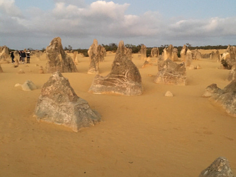 Australian Pinnacle Tours-珀斯必去景点