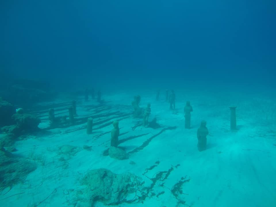 Reef Junkies景点图片