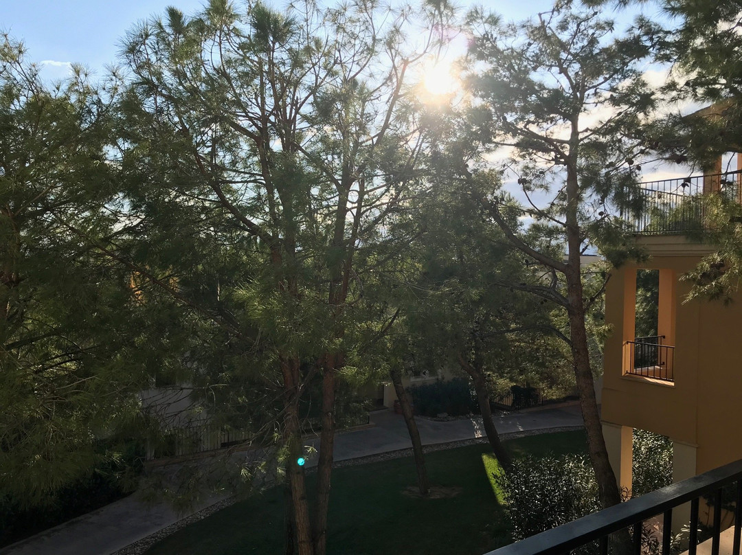 Robinson Cala Serena主图