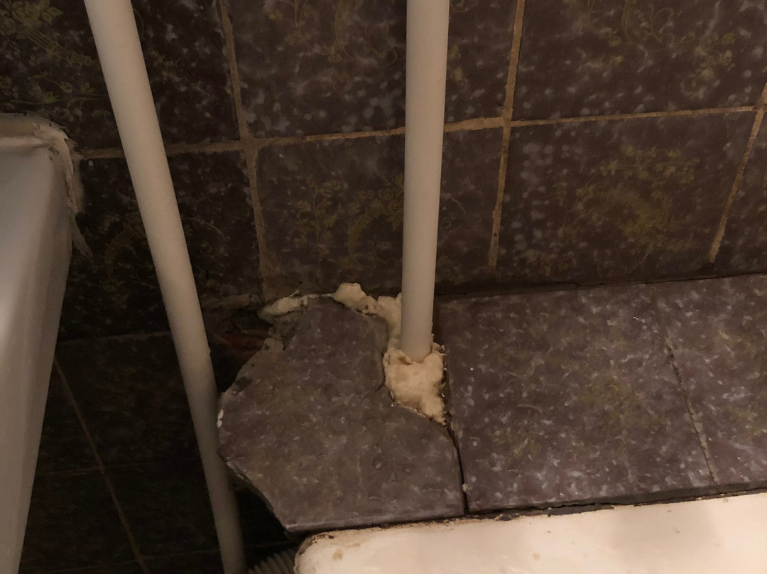 伏尔加酒店主图