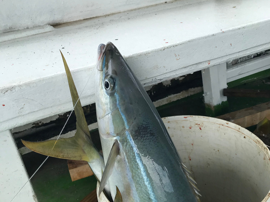 Beach Heaven Maldives - Golden Turtle Guest House主图