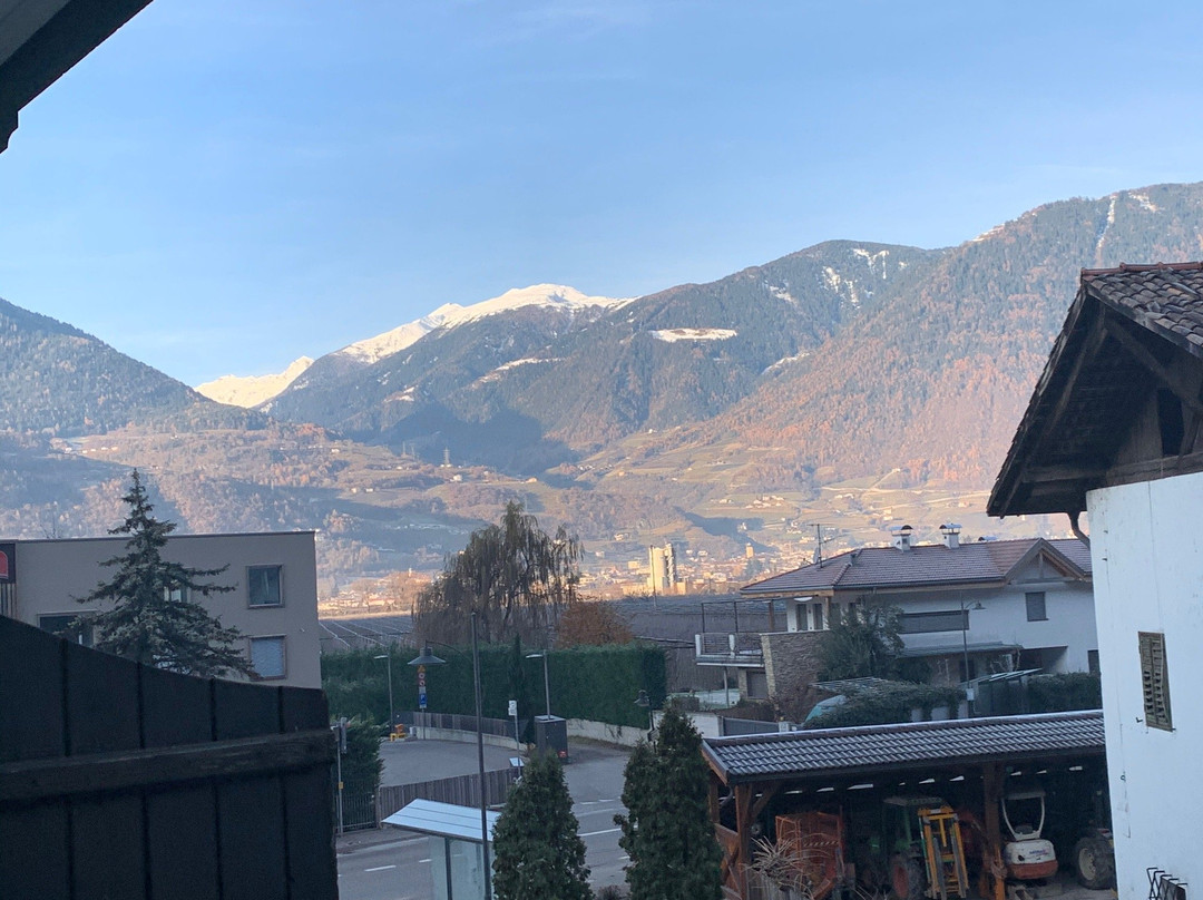 Pension Martha主图