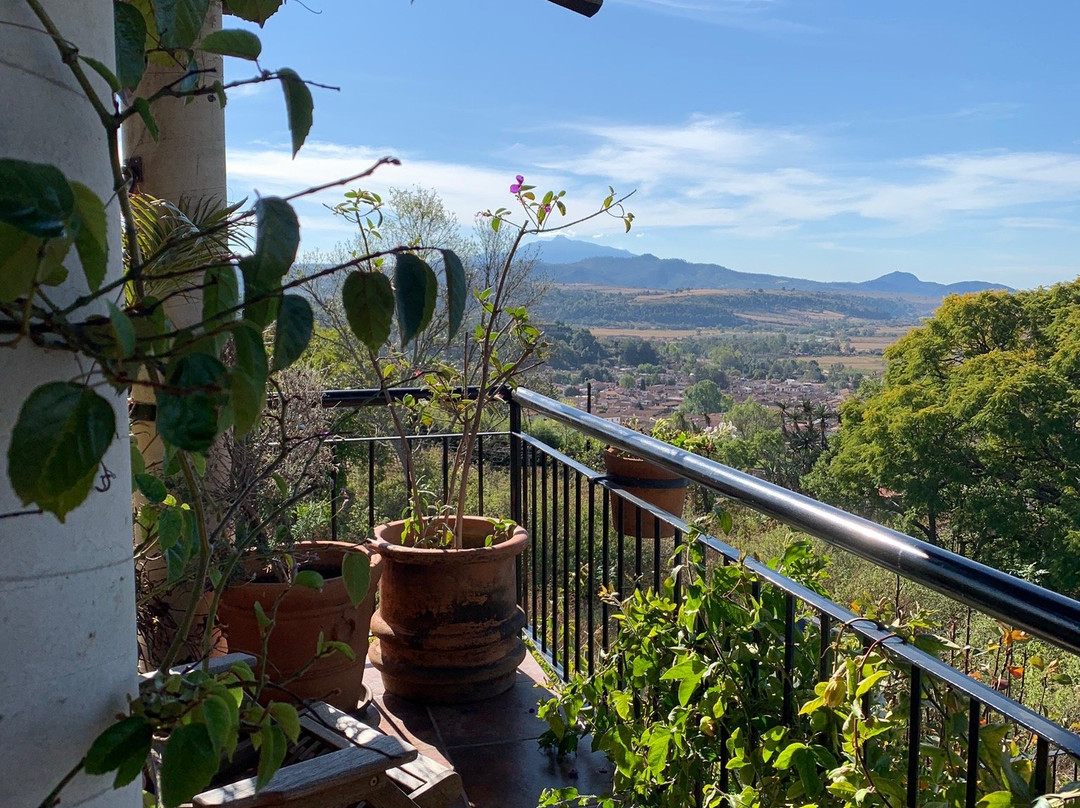 Hotel Villa Cassis主图