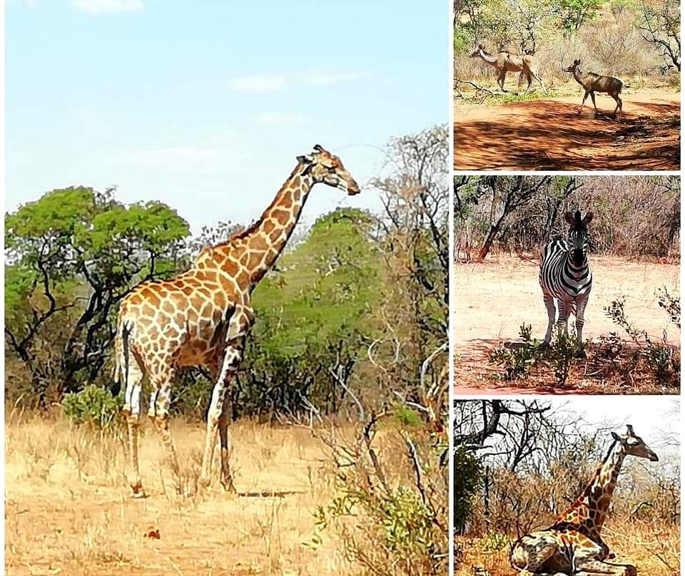 De Wildt 4x4-Brits必去景点